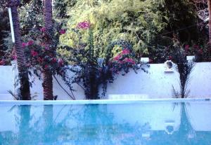 Een van de drie zwembaden bij het hotel in Tarim.