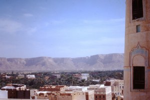 Say'un: Gasr al-thawra en omgeving.