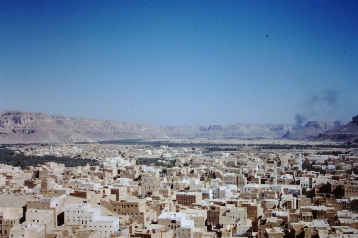 Tarim