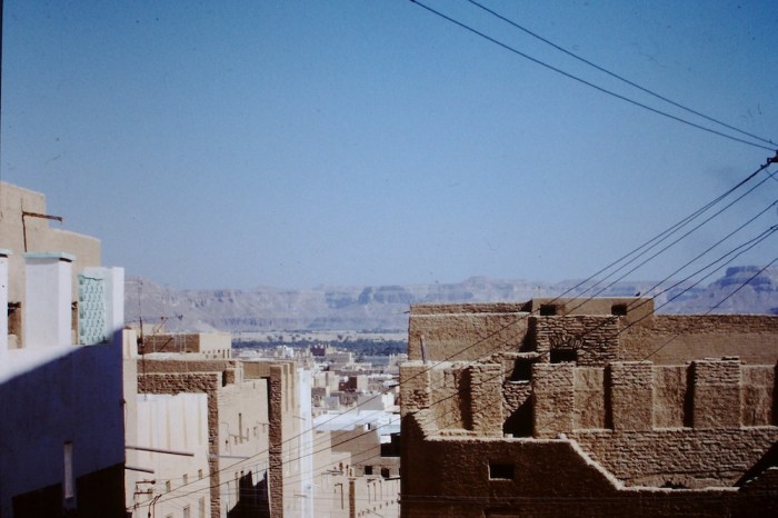 Tarim