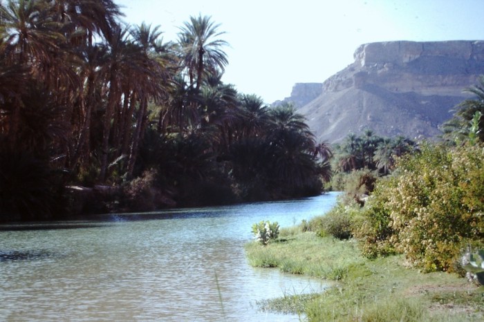 Wadi Adm