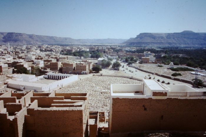 Tarim
