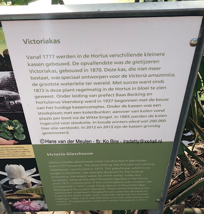 Victoriakas