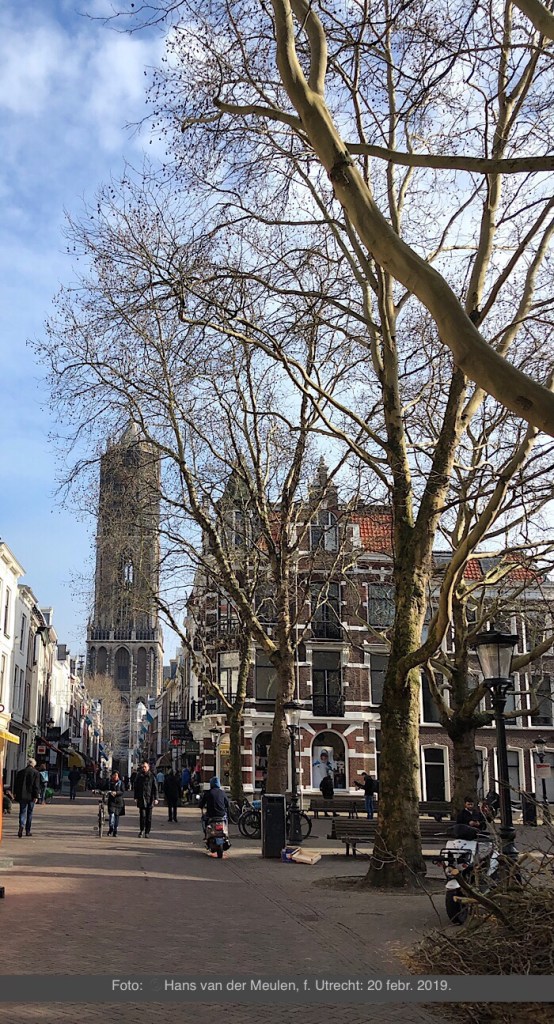 Hoek Mariaplaats - Zadelstraat