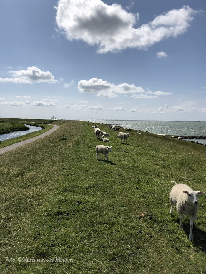 IJsselmeerdijk