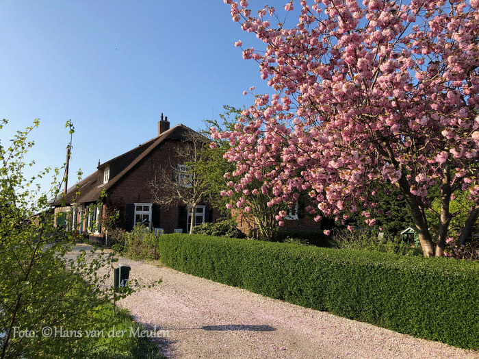 Koudekerk aan den Rijn