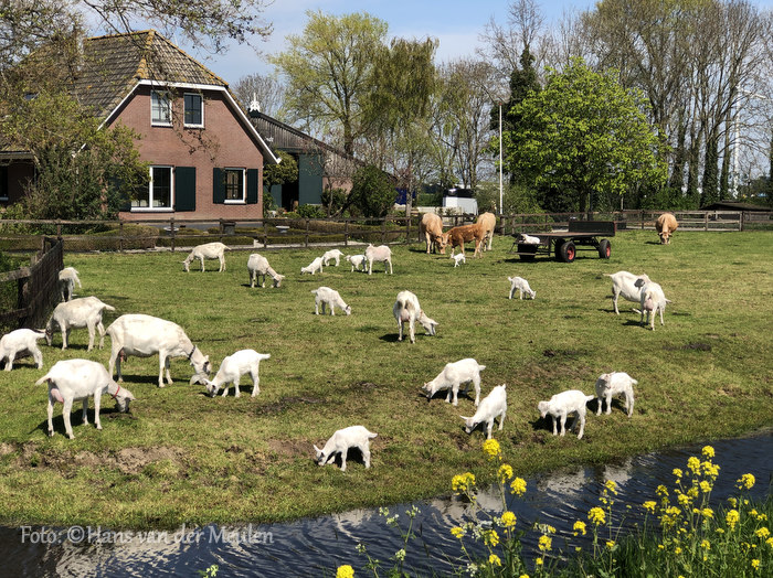 Hazerswoude-Rijndijk